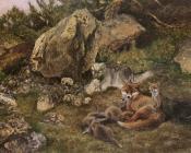 A Family of Foxes - 布鲁诺·利耶夫什